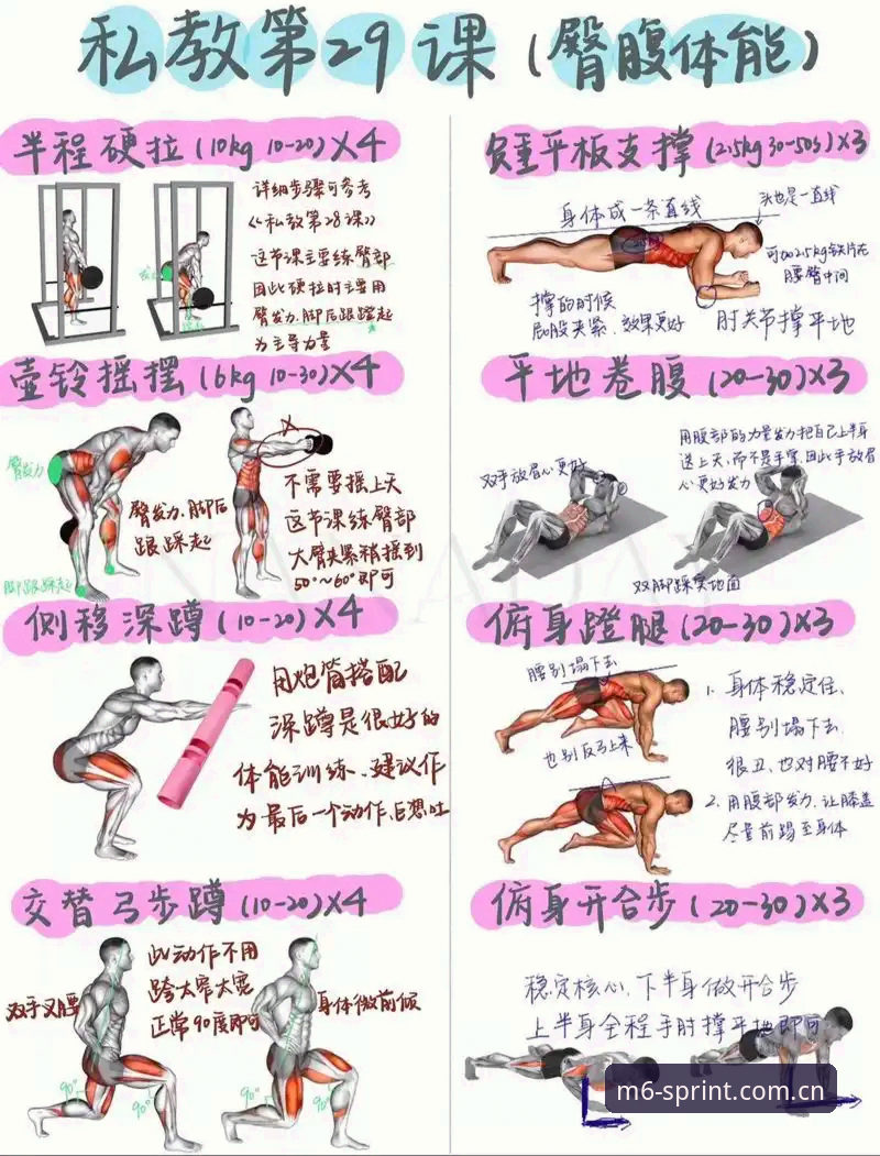 M6体育最新数据功能详解：从入门到精通的操作教程