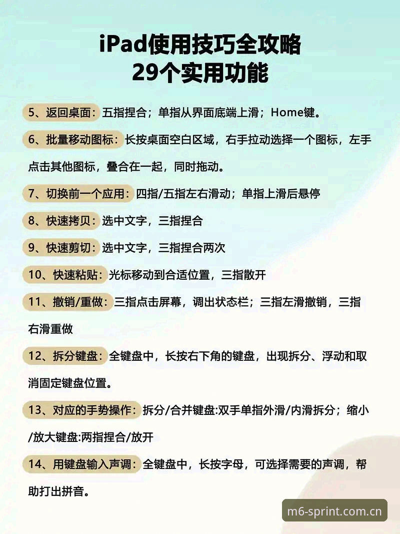 M6体育平台新手入门详解：从下载到使用的完整操作指南